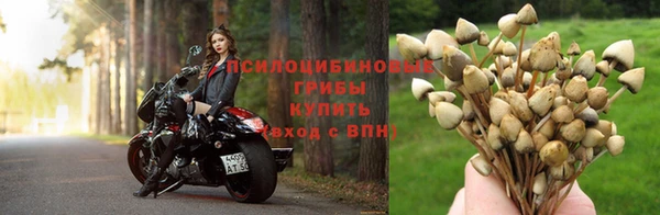соль курить ск Вяземский